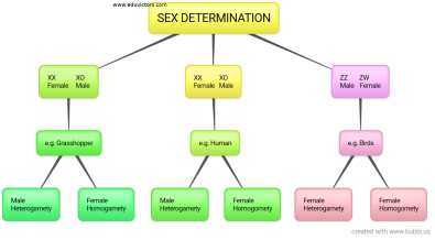 Sex determin